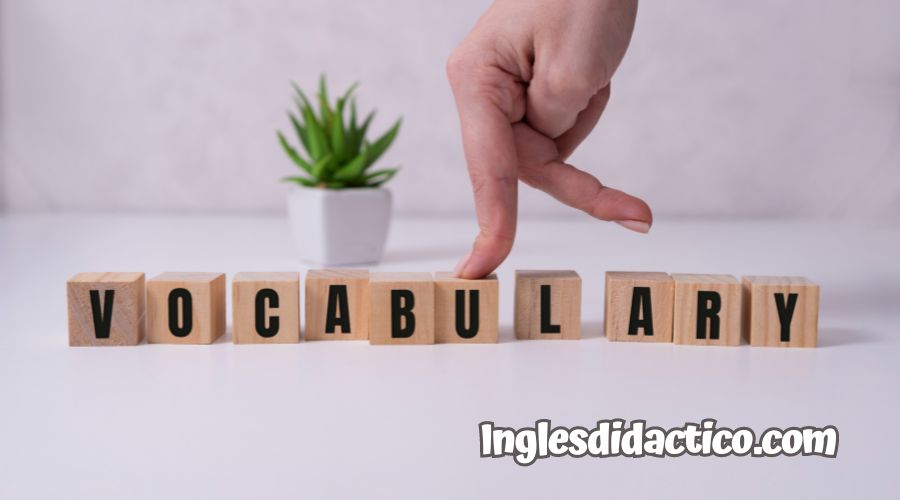 Vocabulario en ingles organizado por temas